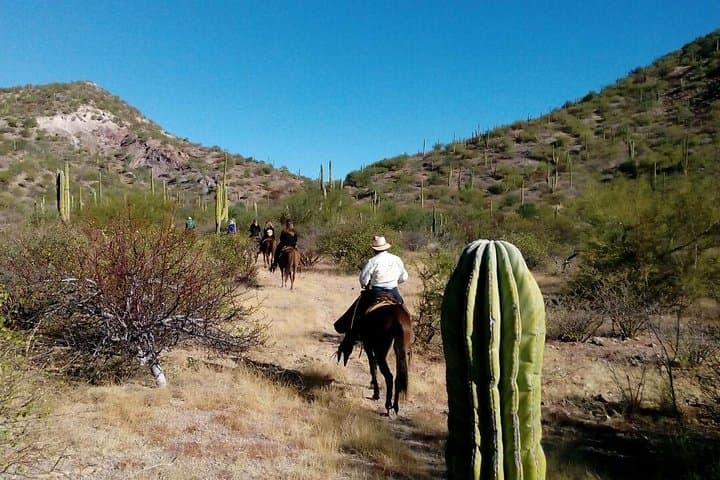 Baja Desert Horseback Riding Tour