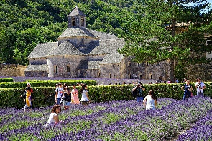 Exploring Rustic Villages: Private Tour of Provence