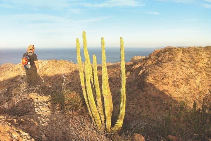 Guided Hike in Tabor Canyon