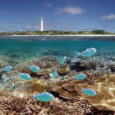 Unique Gift Experiences in Grande Terre, New Caledonia: Unforgettable Memories for Adventurous Spirits and Culture Enthusiasts