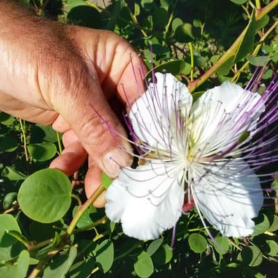 Unforgettable Gift Experiences in Aeolian Islands, Italy