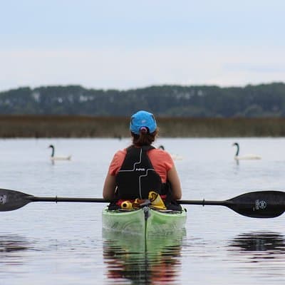 Unique Gift Experiences in Valdivia: Unforgettable Memories for Adventurous Spirits