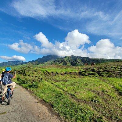 Unique Gift Experiences Aso: Unforgettable Adventures in Japan's Aso Region