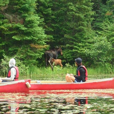 Exploring Unforgettable Gift Experiences in Algonquin Provincial Park, Canada