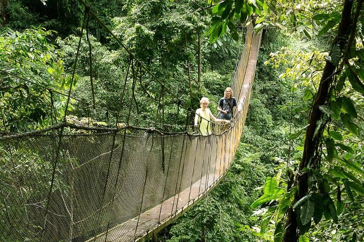 Unforgettable Gift Experiences in Central Pacific, Costa Rica: Memorable Adventure for Nature Enthusiasts