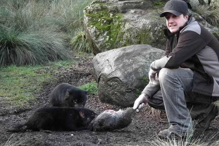 Unforgettable Cradle Mountain-Lake St. Clair National Park Gift Experiences