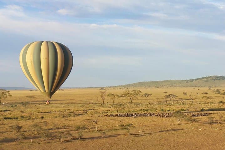 Unforgettable Serengeti Gift Experiences: A Guide for Adventure Seekers