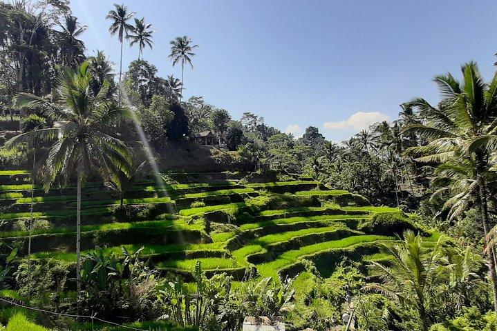 Unique & Memorable Gift Experiences in Candidasa, Bali, Indonesia