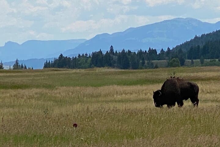 Discover Unique Gift Experiences in Grand Teton National Park