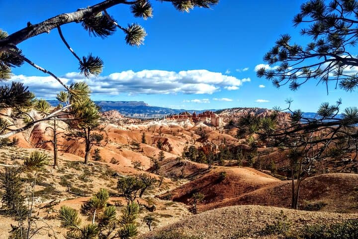 Unforgettable Bryce Canyon National Park Experiences: Perfect Gift Ideas for Adventure Enthusiasts